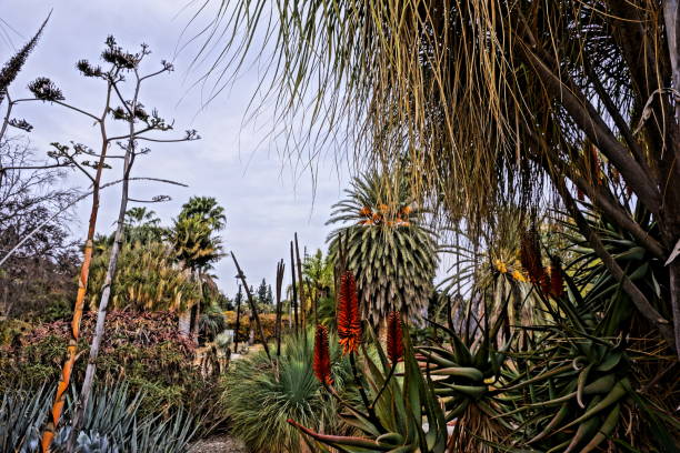 istock Winter scenery of California. 902565526
