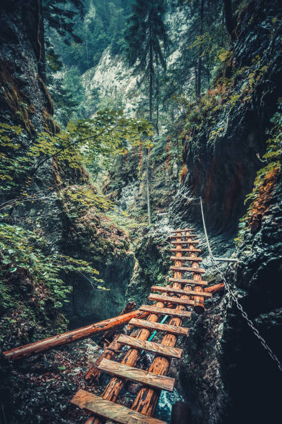 istock Abandoned bridge in the Tatra Mountains, Slovakia 902568296