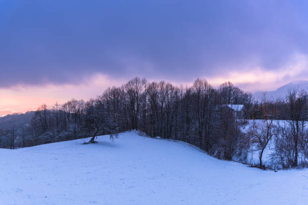 istock Cold morning day in the forest 902572304