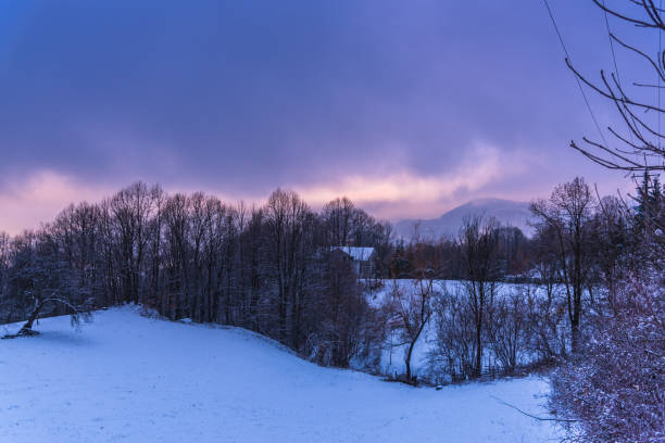 istock Cold morning day in the forest 902572326