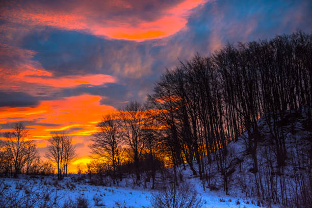 istock Fantastic sunrise in the winter 902575248