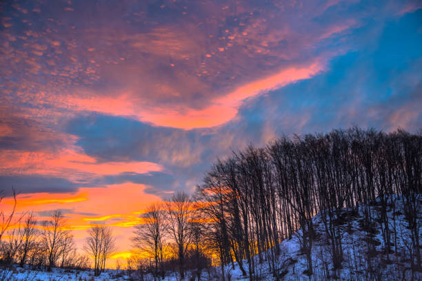 istock Fantastic sunrise in the winter 902575260