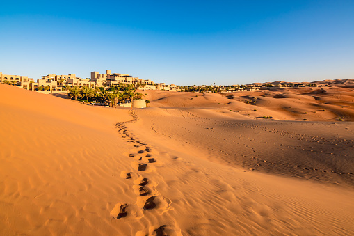 Human footprints in a sandy desert in Abu Dhabi, United Arab Emirates.