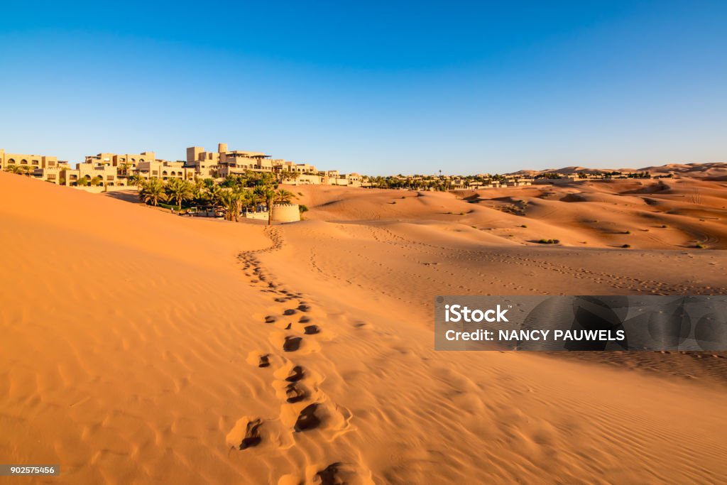 Ślady na pustynnym piasku w Abu Dhabi - Zbiór zdjęć royalty-free (Abu Zabi)