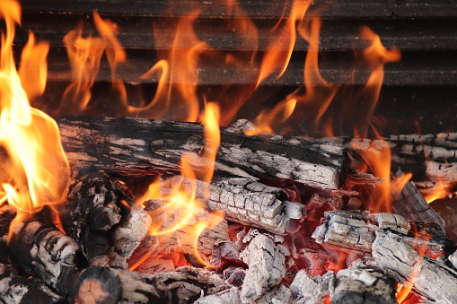 Wood burning in a fire which will eventually turn into coals which will be used to braai (cook) meat.
