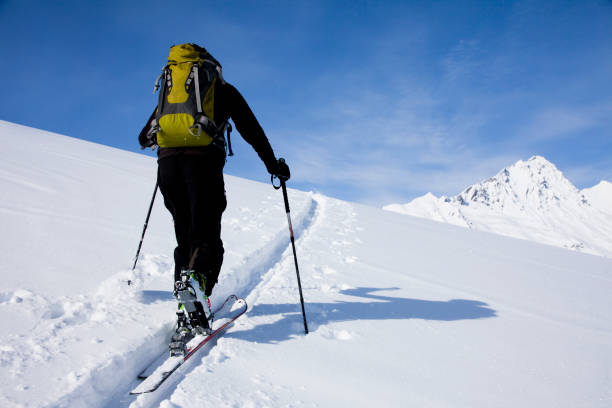 istock man who makes seal skin in the mountains 902579886