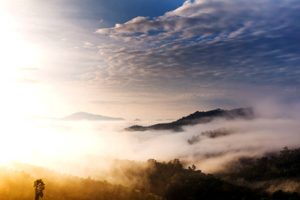istock Morning fog from Yun Lai Viewpoint 902582430