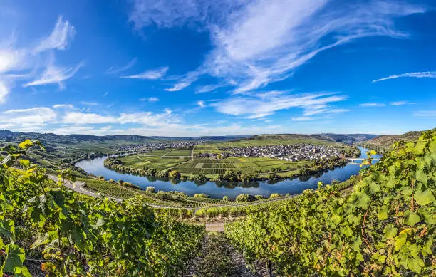 Famous Moselle river loop in Trittenheim, Germany.
