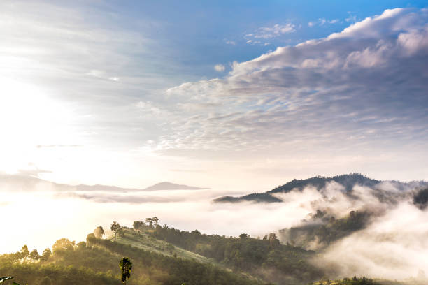 istock Morning fog from Yun Lai Viewpoint 902583290