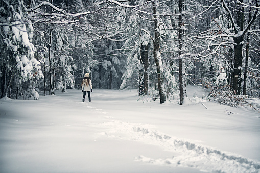 Girl is walking into a snow covered winter forest. She is standing in deep snow admiring beauty of winter wonderland.
