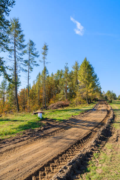 Rural road in Pieniny Mountains in autumn season, Poland The Pieniny is a mountain range in the south of Poland and the north of Slovakia. szczawnica stock pictures, royalty-free photos & images