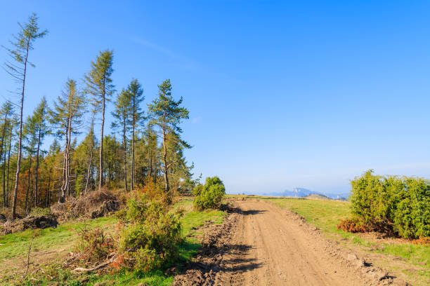 Rural road in Pieniny Mountains in autumn season, Poland The Pieniny is a mountain range in the south of Poland and the north of Slovakia. szczawnica stock pictures, royalty-free photos & images