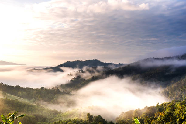 istock Morning fog from Yun Lai Viewpoint 902585930