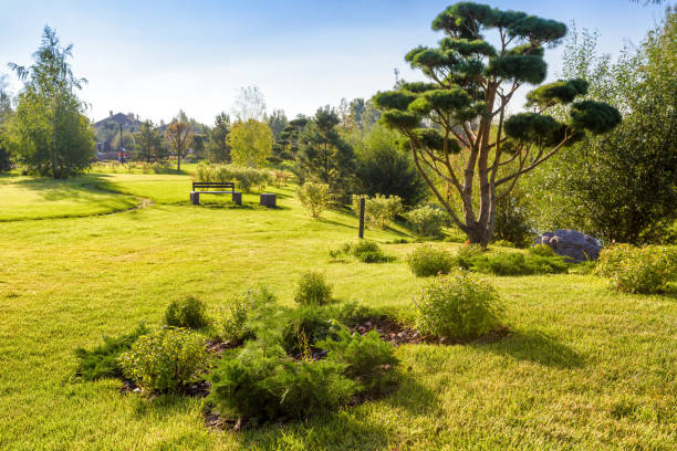 istock Beautiful landscaping in public nature park 902587714