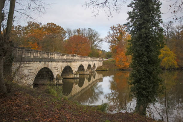 istock Autumn at Virginia Water in the UK 902591802