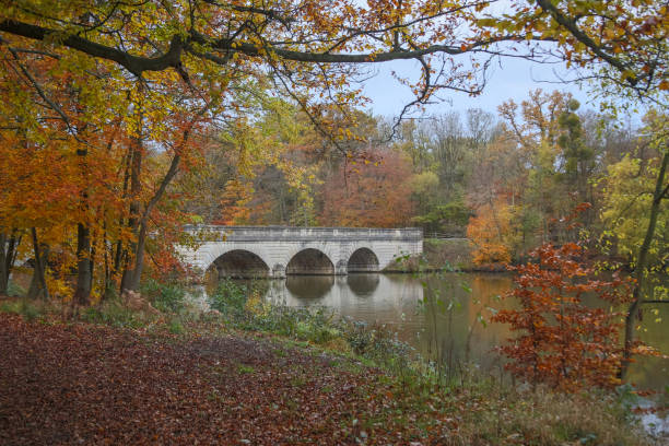 istock Autumn at Virginia Water in the UK 902592106
