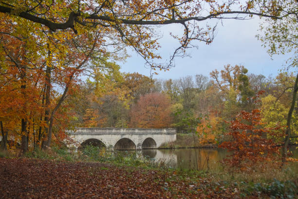 istock Autumn at Virginia Water in the UK 902594716