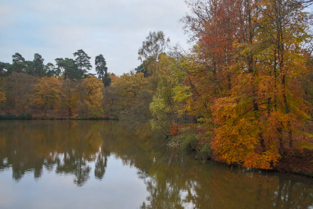 istock Autumn at Virginia Water in the UK 902594928