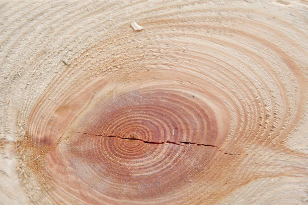 istock Wooden board with knot background texture 902596094