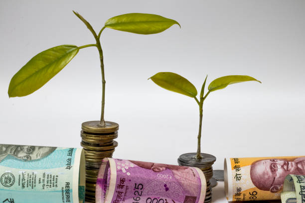 istock Image of Currency and coins with growth concept 902602190