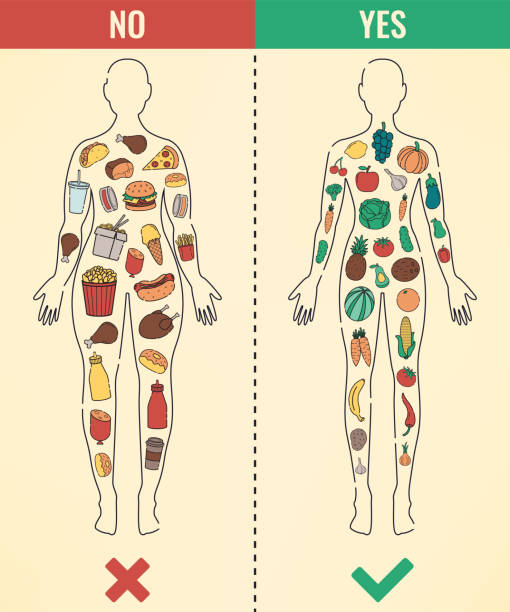 Healthy Lifestyle concept. Choose what you eat. Vector Healthy Lifestyle concept. Choose what you eat. Vector illustration Changes in body function that can affect nutritional intake stock illustrations
