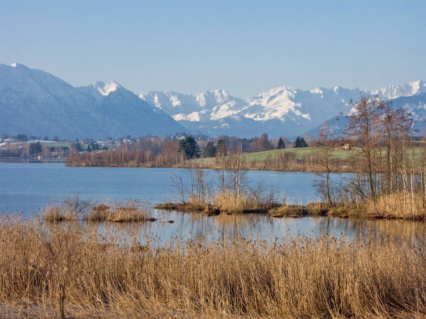 istock Riegsee, a small bog lake in the Alpine foothills 902604950