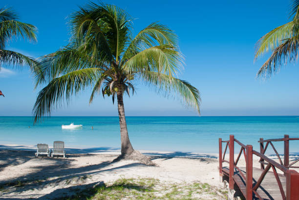 palmiers sur la plage de cayo jutias à cuba. bateau et mer bleue sont reposer sur le sable doré. plage dans le golfe du mexique. - bizarre landscape sand blowing photos et images de collection