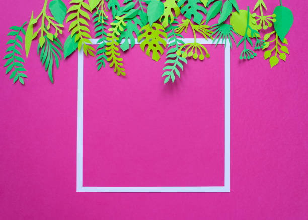 istock Trendy Summer Tropical Leaves 902606822