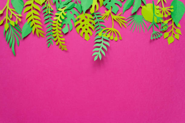 istock Trendy Summer Tropical Leaves 902606828