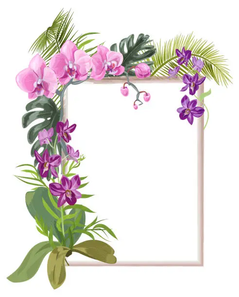 Vector illustration of Tropical rectangular frame with bouquet pink, purple orchids, flowers and buds, green palm, bamboo, monstera leaves on white background, digital draw illustration, template for design, vector