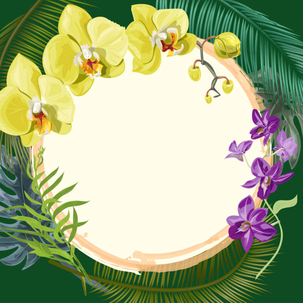 Tropical square card, round frame with bouquet yellow, purple orchids, flowers and buds, green palm, bamboo, monstera leaves on green background, digital draw illustration, template for design, vector Tropical square card, round frame with bouquet yellow, purple orchids, flowers and buds, green palm, bamboo, monstera leaves on green background, digital draw illustration, template for design, vector dendrobium orchid stock illustrations
