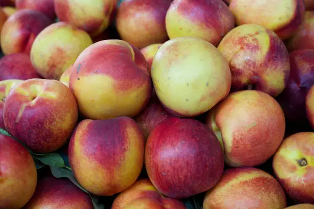 Photo of Nectarines in the market