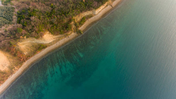 istock Bird's eye view of sea shore. 902614902