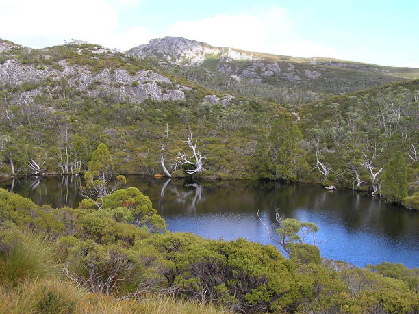 istock Cradle Mountain-Lake St Clair National Park 902616954