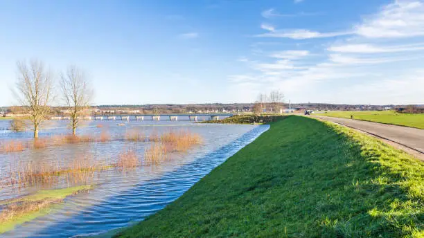 Landscape with two trees in the  flooded river Rhine in the Netherlands