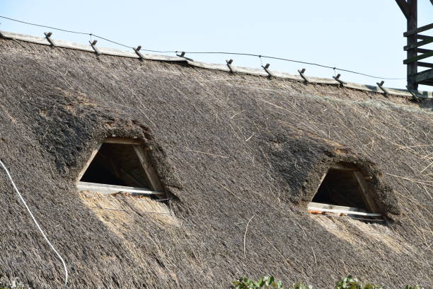 istock Roof windows on the straw roof 902623656
