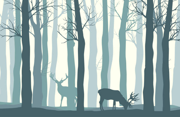 illustrations, cliparts, dessins animés et icônes de paysage d’hiver brumeux de vecteur avec des silhouettes d’arbres et de la cerf - christmas winter december deer