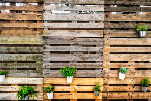 istock green thumb background copy space pallets wooden texture 902624538