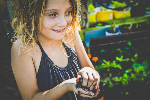 Child holds a handful of dirt, planting and gardening