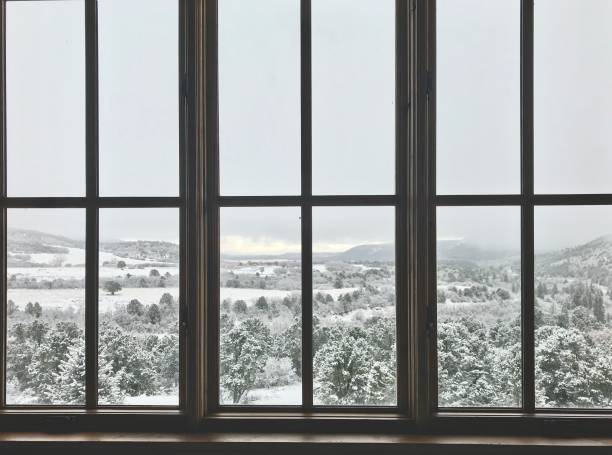 istock White Landscapes - Western Colorado Winter Snowfall Window View 902631232