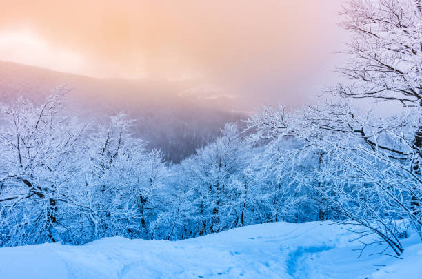 istock Winter mountains panorama in snow, sunset, Bieszczady, Poland 902637292