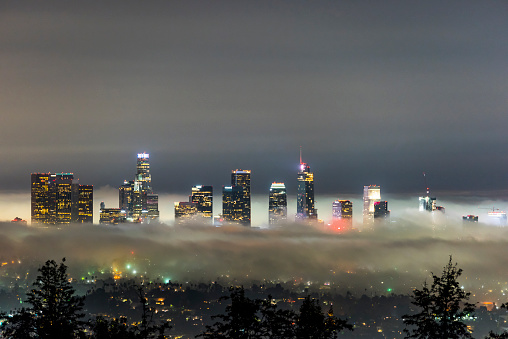 City of Los Angeles at dawn on a foggy day