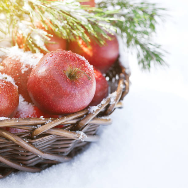 istock Red apples in basket in snow, outside 902662830