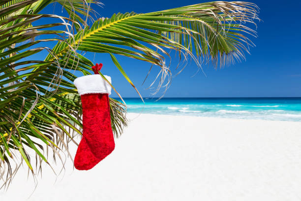 istock Christmas stocking on palm tree at tropical beach 902663566