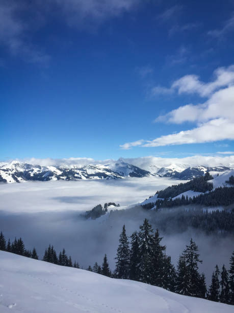 istock Snow covered Alps rising above the clouds with spruces in foreground 902663590