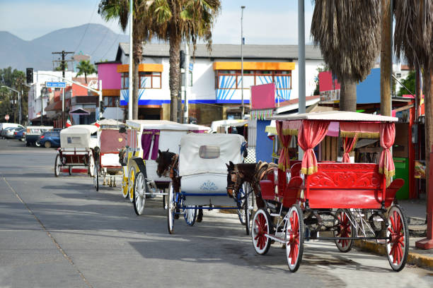 istock Ensenada Horse Drawn Tourist Carriages 902664674
