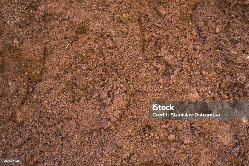 Lehm Textur Sandiger Lehm Boden Hintergrund Textur Stockfoto und mehr Bilder von ...