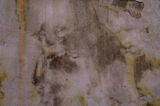 istock Old concrete background with dirty spots 902673672