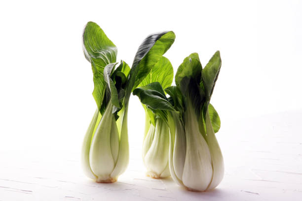 Fresh Bok choy vegetable on the white background.