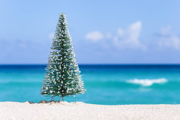 istock Christmas fir tree on sandy beach 902676978